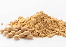 Soybean Flour